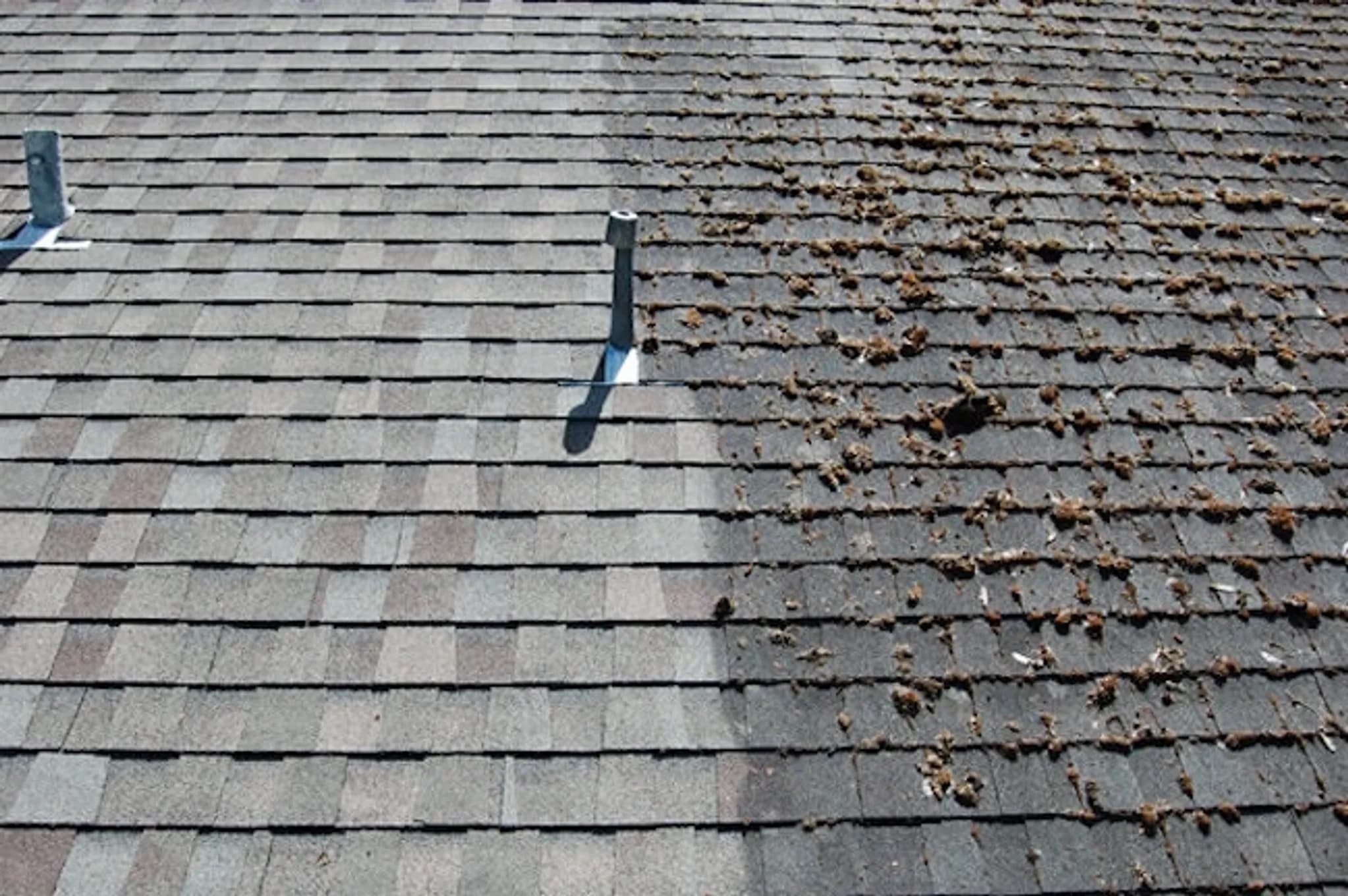 Roof surface cleaned to restore curb appeal